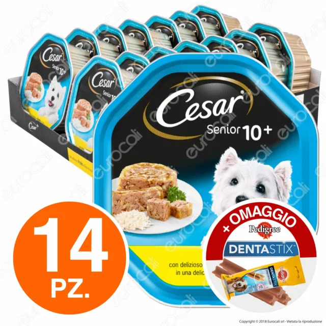 Cesar Senior 10+ Cibo per Cani Pollo e Riso in Gelatina - 14 Vaschette da 150g