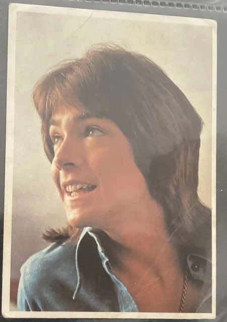David Cassidy, Cadburys Curlywurly, Pop Star Cards. Excellent Condition.