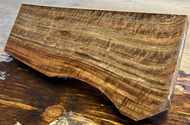 EXTREMELY CURLY FIGURED Claro Walnut Gunstock Stock Blank Kiln Dried Shotgun 732