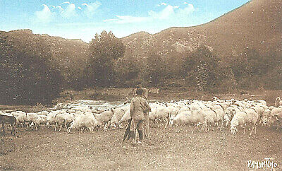 VIntage Postcard-Vallee d'ossau, Tending sheep, French Pyrenees