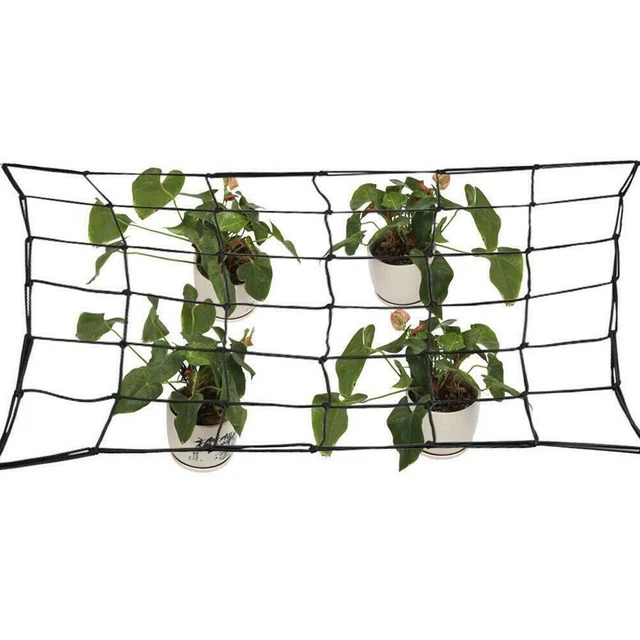 Elastic Ranking Net w/Hook Plant Support System for Breeding Tent 4 Sizes