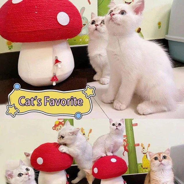 Cute cat Mushroom scratching post cat toys For pet relief U7U7 2