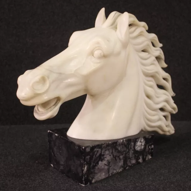 Sculpture head of runaway horse italian statue in white marble 20th century 900