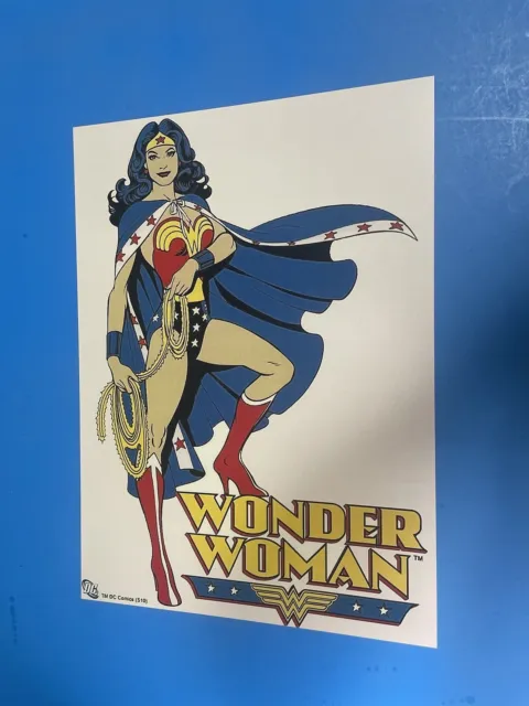 Dc Comics Wonder Woman Amazon Warrior Poster Pin Up  New.