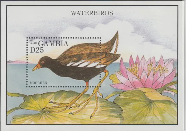 Gambia 1996 Faune Oiseaux 1 Bf Neuf MNH MF121836