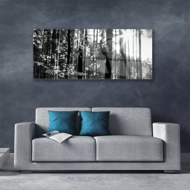 Acrylglasbilder Wandbilder Druck 125x50 Wald Natur 2