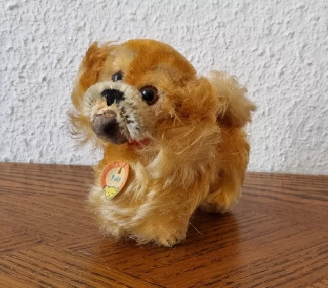 schöner alter kleiner Steiff Pekinese Peky 11 cm  - in gutem Zustand um 1960