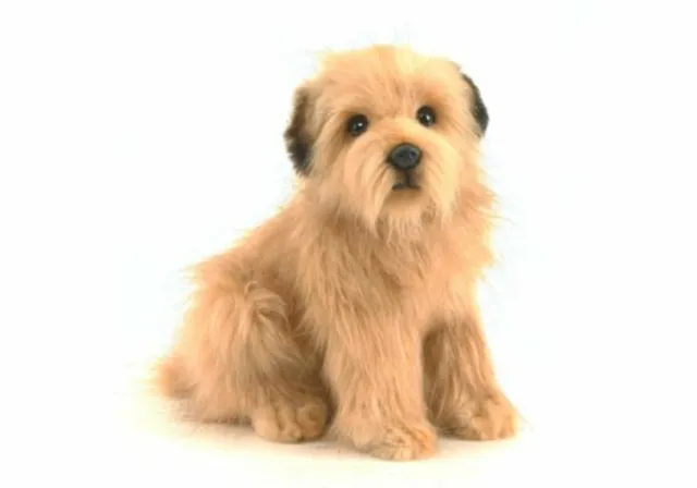 Hansa Terrier Welpe Plüsch Norfolk Terrier. Süß Lebensecht Hund F/S W / Tracking 2