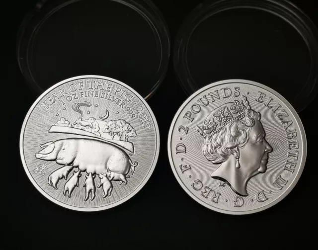 Gb 2019 Year Of The Pig .999 Silver Coin In Capsule Unc.