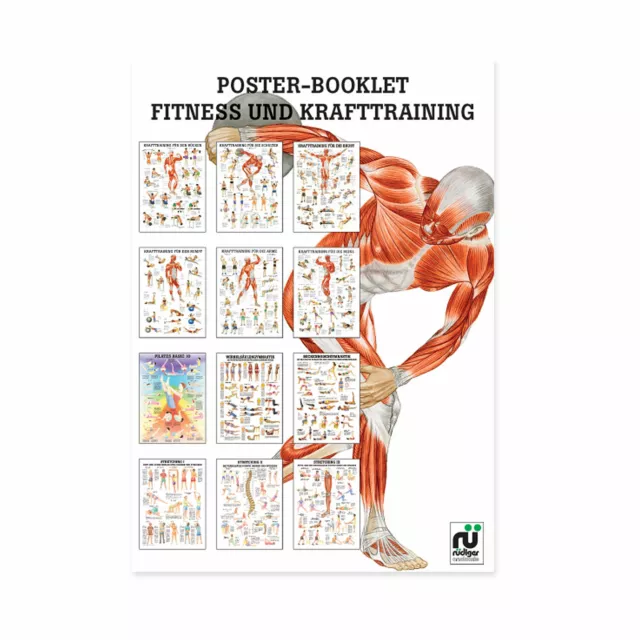 Poster Booklet Fitness- und Krafttraining Rüdiger Anatomie