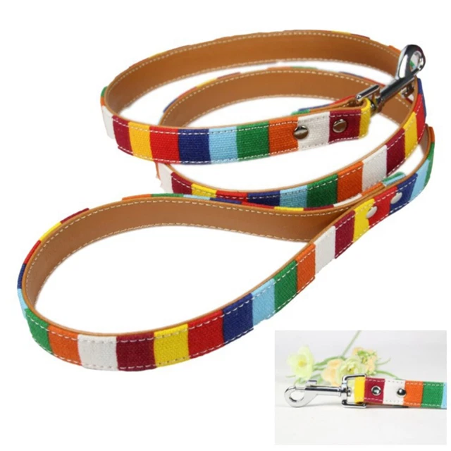 Colorido conjunto de correas arco iris de lona a rayas cuerda mango correa