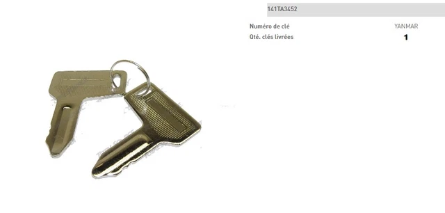 Clé De Contact Hyster Jeu De 2 Clés De Contact Hyster Pour Chariot élévateur - Interrupteur D'allumage De Rechange - Pièce 181333 Chariot De Jardin - Foto 7