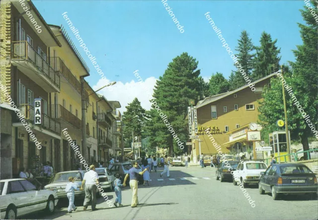 bb114 cartolina camigliatello silano veduta panoramica viale roma cosenza