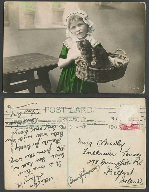 Kleines Mädchen hält Katzen Kätzchen im Korb, Kinder 1908 alte Farbe RP Postkarte