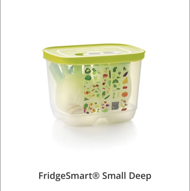 FridgeSmart® Small Deep  Fridgesmart, Tupperware, Food scientist