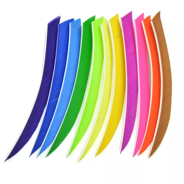 50pcs 5" Archery Feathers Arrow Natural Fletches Turkey Fletching Right Wing DIY