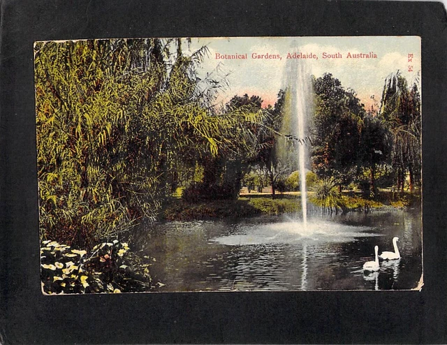 B6636 Australia SA Botanic Gardens Fountain Adelaide SqC pu1907 vintage postcard