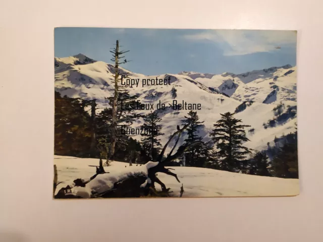 GUZET NEIGE STATION PANORAMA   carte postale postcard