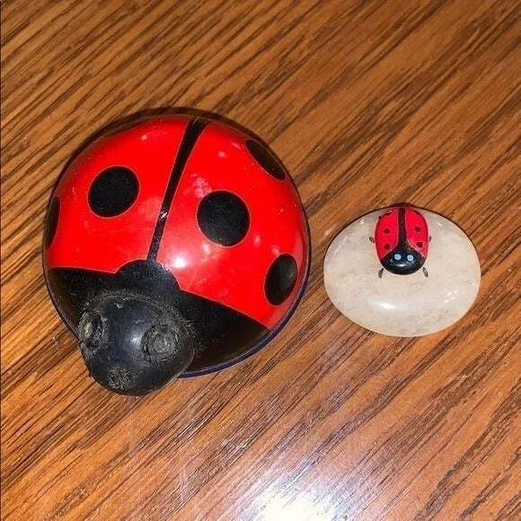 2 ladybugs for your collection