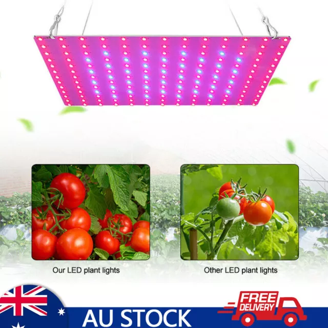 Full Spectrum Plant LED UV Grow Light Veg Lamp For Indoor Hydroponic Plant AU