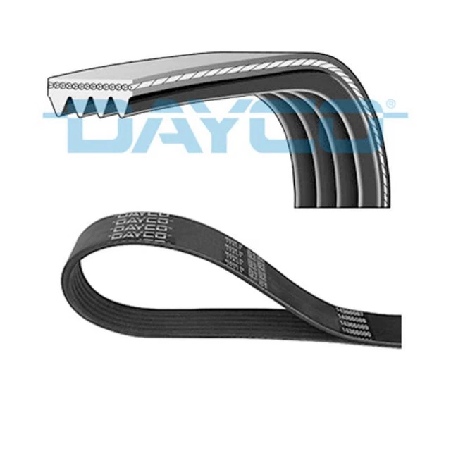 Kit Catena Distribuzione Febi-Bilstein 30372 - Per Motori, Con 130 Maglie E Componenti Di Qualit&agrave;