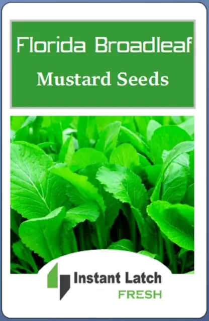 Florida Broadleaf Mustard Seeds | NON-GMO | Heirloom | Fresh Garden Seeds 2