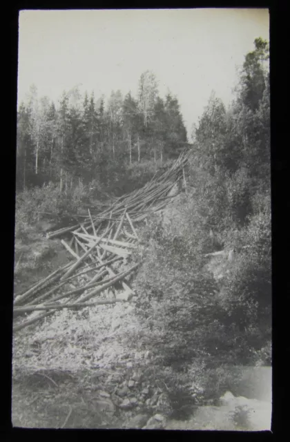 Glas Magic Laterne Rutsche BÄUME GEHAUEN IM WINTER C1920 NORWEGEN FOTO