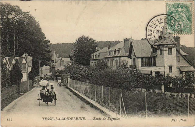 CPA TESSÉ-la-MADELEINE Route de BAGNOLES (805720)