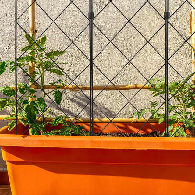 Treillis obélisque de jardin, treillis de jardin, treillis de support renforcé pour plantes en pot, vigne, rose, clématite, extérieur, intérieur, 1 pièce, très résistant, blanc, 40 x 120 cm