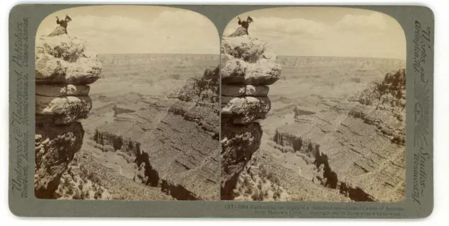 Arizona Grand Canyon ~ Blick Vom HANCE'S Bucht ~ Stereoskopie uusb37