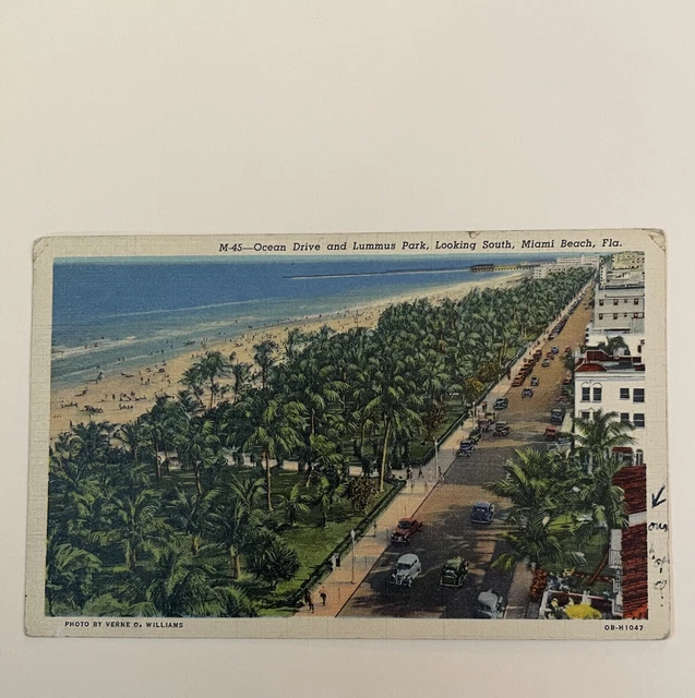 Linen Postcard Miami Beach, Florida~Ocean Drive  and Lummus Park Looking South