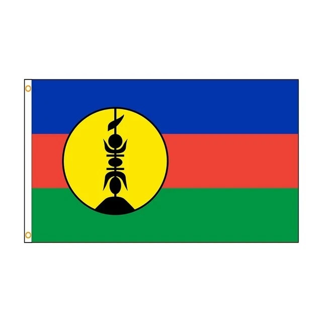 DRAPEAU SUR HAMPE France Libre 1940-43 - Croix De Lorraine 30x45cm EUR 9,95 - PicClick FR