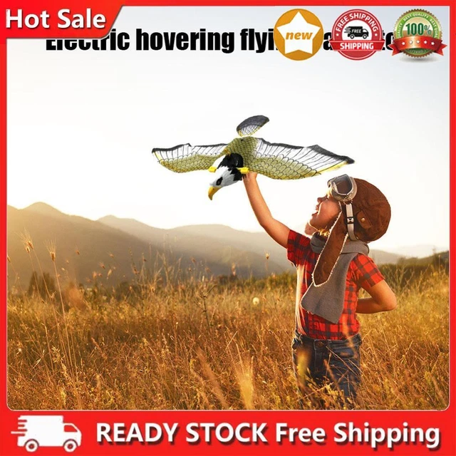 SIMULATION ELECTRIC EAGLE Flying Bird LED Light Kids Girls Play Toy (A ...
