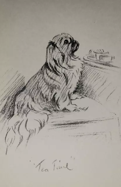 George, Tea Time Pekingese Dog Drawing by Lucy Mac Dawson Art Print 1940s