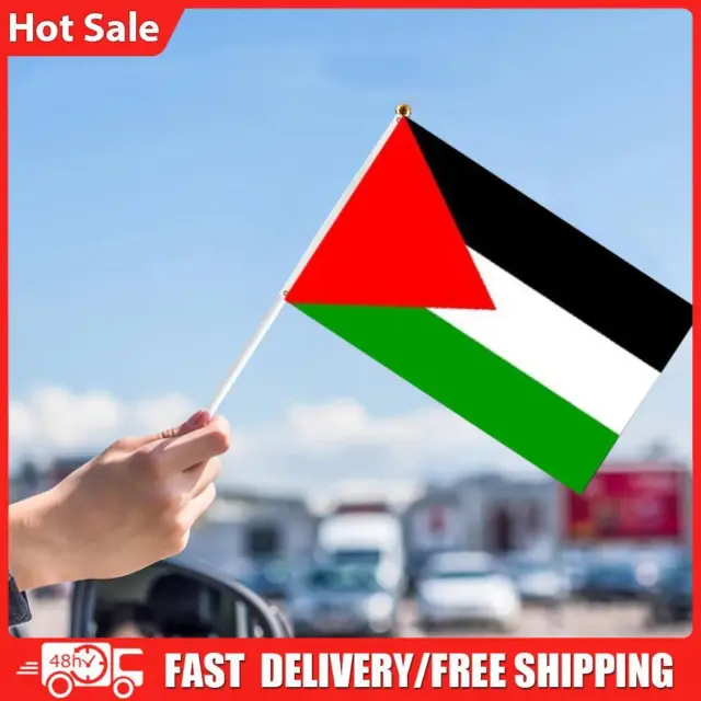 30Pcs Palestine Stick Flag 14x21cm PALE Palestine Hand Flag Palestine Car Flag