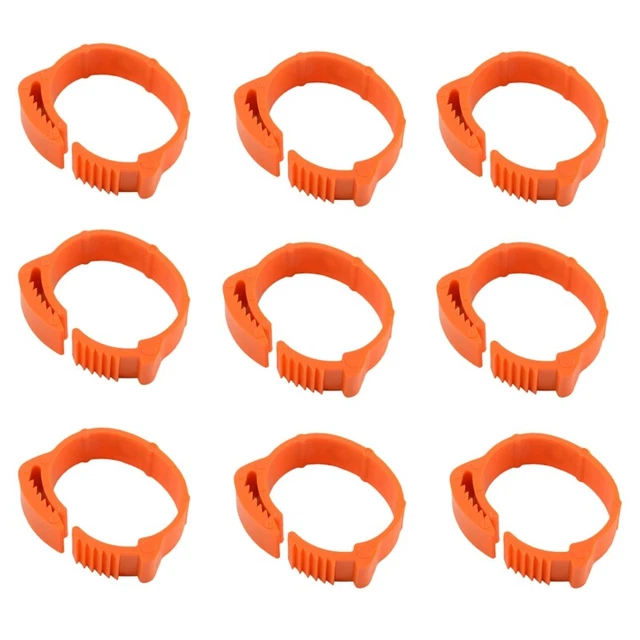 100 pz fasce gambe identificazione pollo etichette fasce gambe pollame divieto gambe uccellino Y4B7