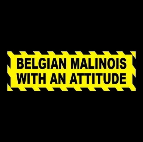 Funny "BELGIAN MALINOIS WITH AN ATTITUDE" warning decal BUMPER STICKER dog puppy