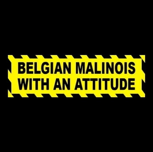 Funny "BELGIAN MALINOIS WITH AN ATTITUDE" warning decal BUMPER STICKER dog puppy