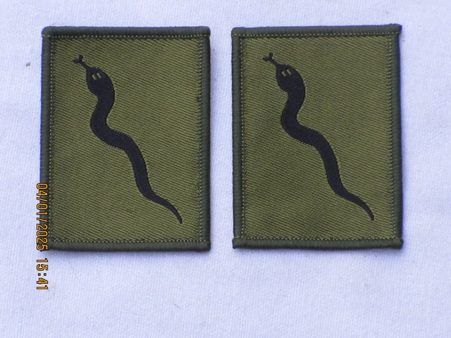 101 Logistic Brigade TRF In Olive Green - UK - Foto 11