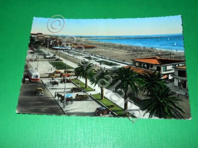 Cartolina Viareggio - Spiaggia e Viali 1954.