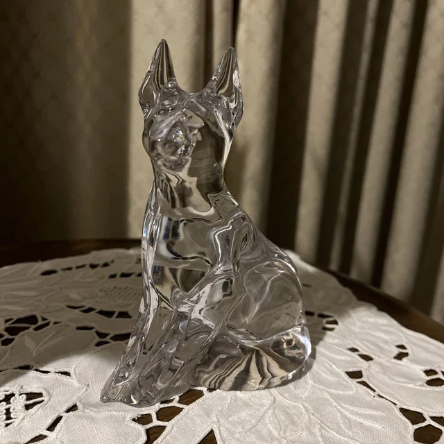 Chien Daum France À VENDRE! - PicClick FR