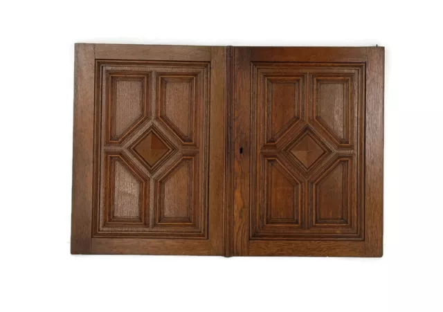 Pair French hand Carved Wood Oak Door Panels Reclaimed Architectural Abstract An