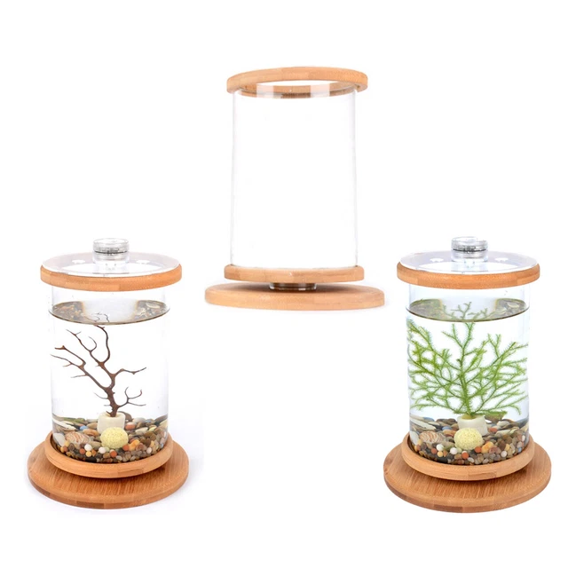 Fish Bowl Accessories Betta Glass Small Fish Tank Decor Mini Creative Rotating