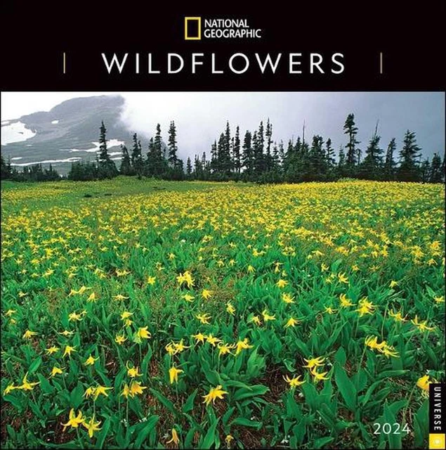 NATIONAL GEOGRAPHIC WILDFLOWERS 2024 Wall Calendar by National