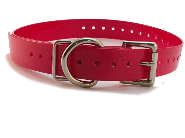 SportDOG 3/4 Inch Collar Strap, Red
