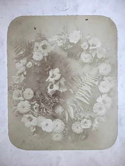 Adolphe BRAUN, Vintage Albumin Fotografie um 1850, Blumenarrangement