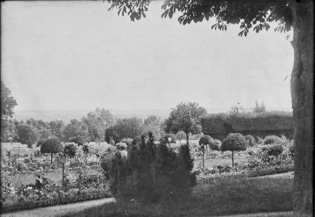 Antique photo glass plate negative 13x18 cm landscape park trees, château France