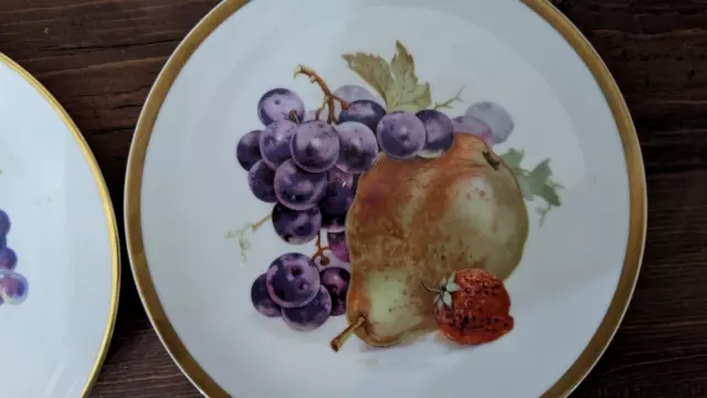 Zeh Scherzer ~ Fine Porcelain Fruit Dinner Plates ~ 7 3/4" ~ Set of 2 ~ Bavaria 3