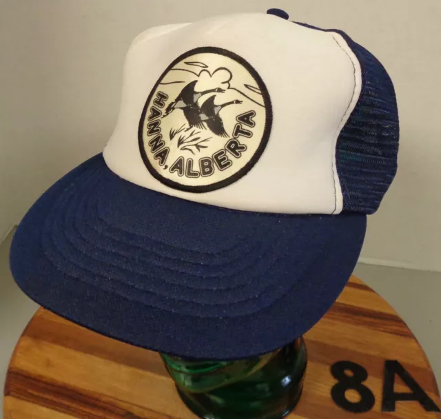 Vintage Daiwa Fishing Trucker Hat Ball Cap Snapback Mesh Blue