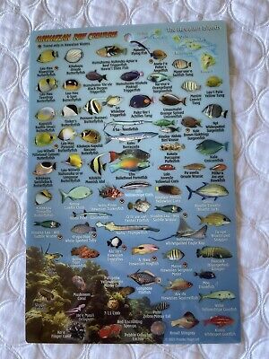 Hawaiian Reef Creatures waterproof card/ guide Maui Laminated